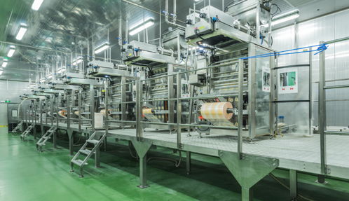 紫燕食品荣膺“最具价值餐饮品牌Top25” 以技术创新驱动食品行业新篇章